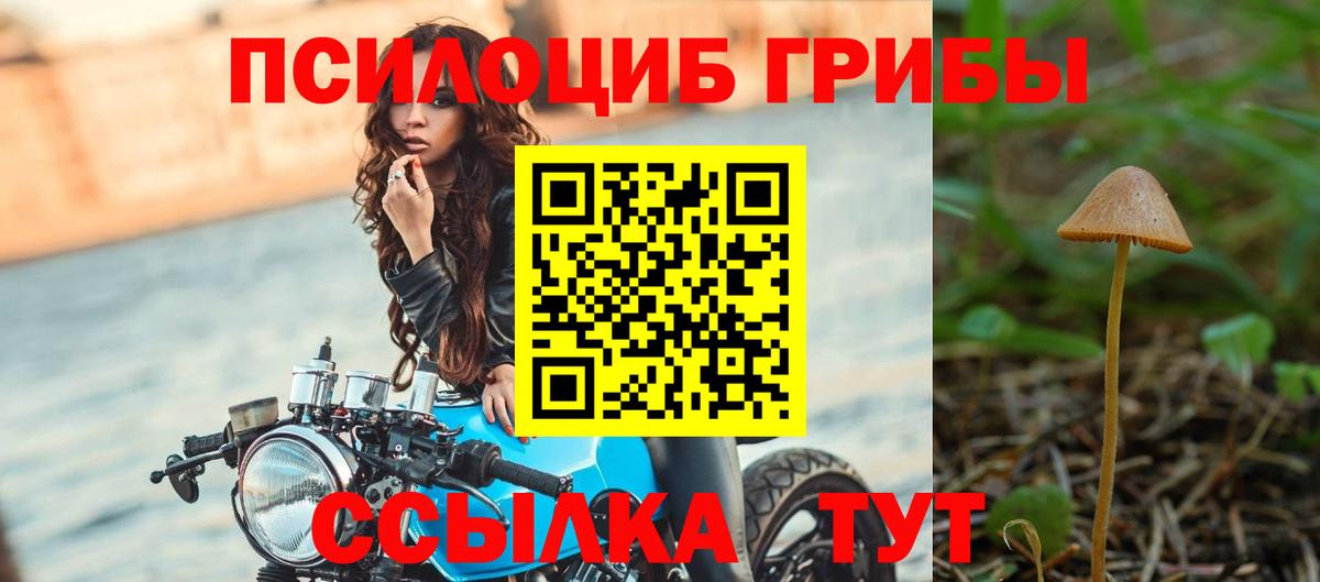 Новороссийск  Псилоцибиновые грибы Psilocybine cubensis  Вход с VPN 
